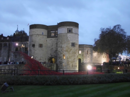 Ceramic poppies at the Tower of London